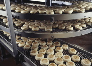 Bakery producing English muffins, elevated view